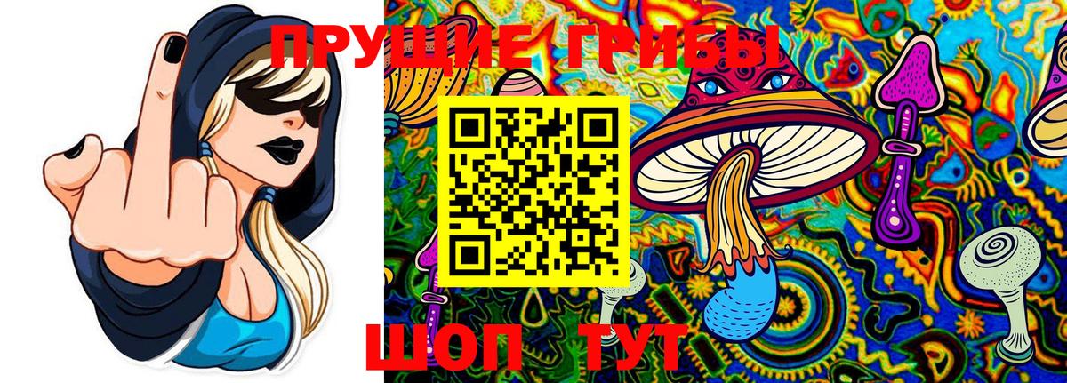 Псилоцибиновые грибы Psilocybine cubensis Дзержинский
