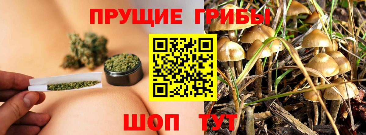 Псилоцибиновые грибы Magic Shrooms  Галлюциногенные грибы мухоморы  Дзержинский  Вход с VPN 